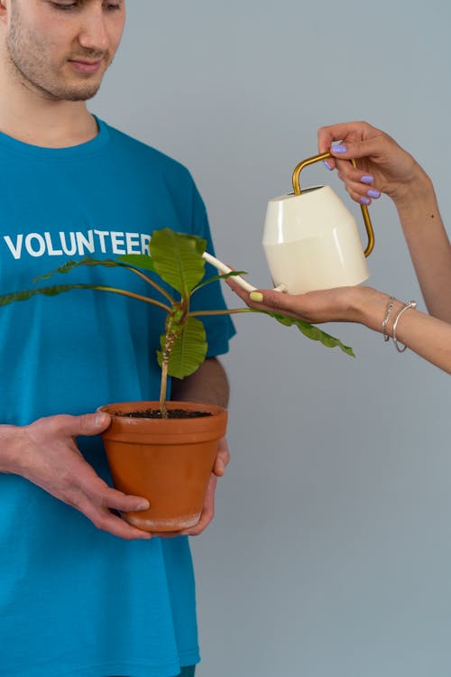 Person in Blue Crew Neck T-shirt Holding Potted Plant