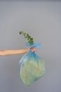 Green Grapes in Blue Plastic Bag