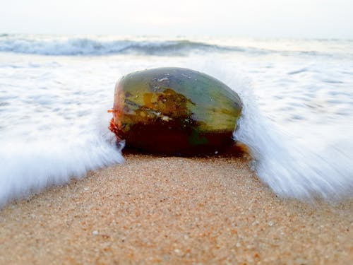 perfectclick, 水, 海灘 的 免费素材图片