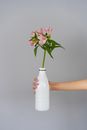Pink Flowers in White Glass Bottle