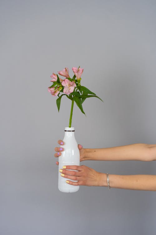 Free Person Holding a White Flower Vase Stock Photo