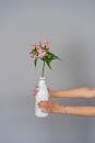 Person Holding Pink Rose in White Ceramic Vase