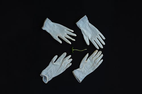 A Seedling and Surgical Gloves