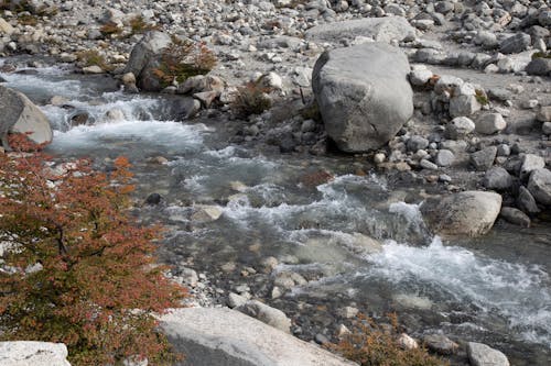 Free stock photo of river, stones