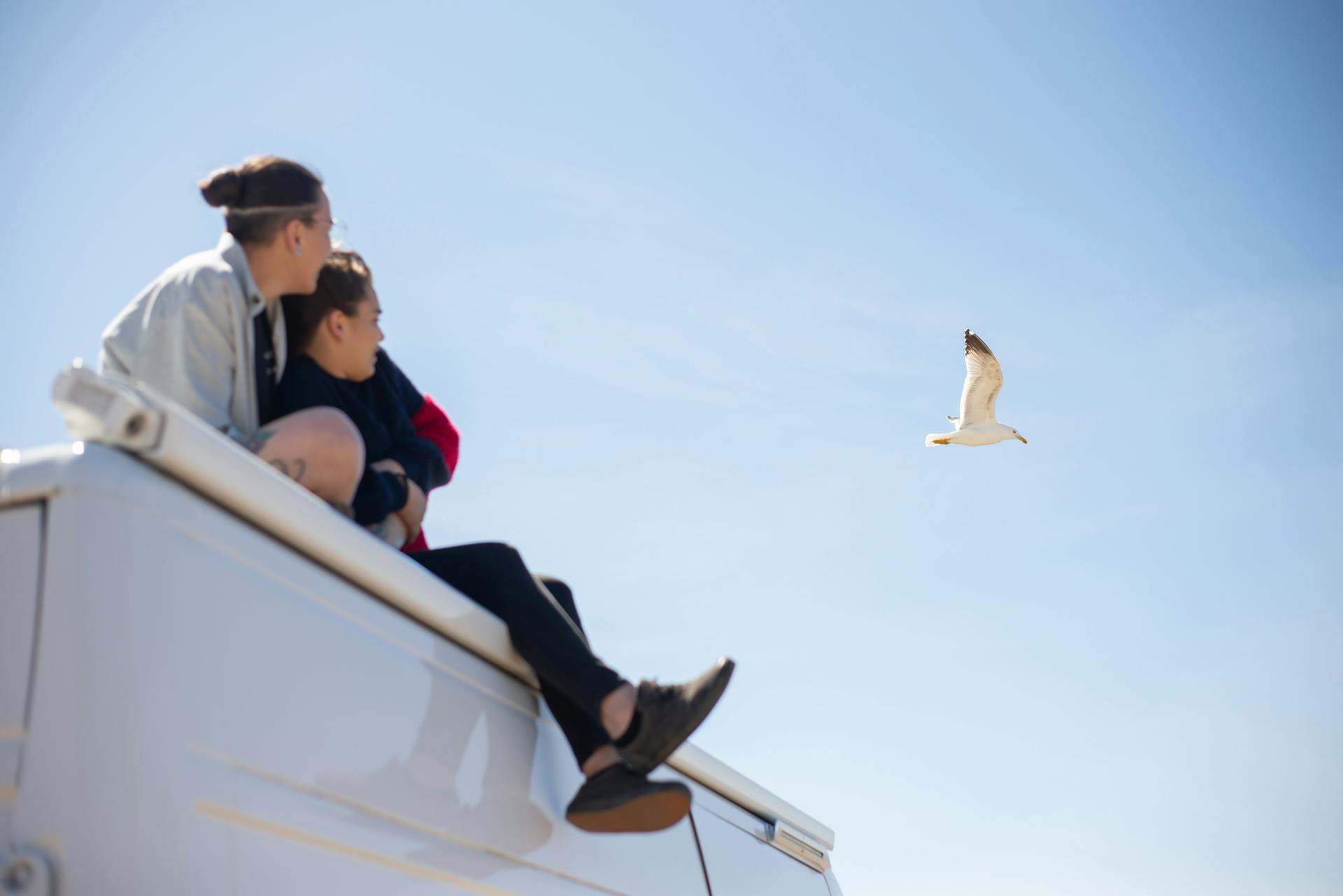 A Couple Watching a Bird Fly while Sitting on Top of an RV