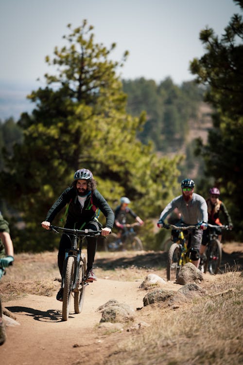 Fotos de stock gratuitas de arboles, bicis, camino de polvo