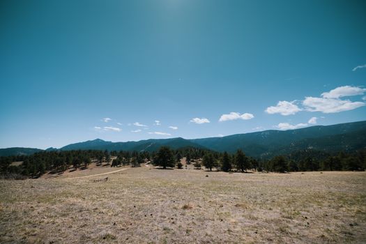 Wide view of a grassy meadow with mountains and trees under a clear blue sky.