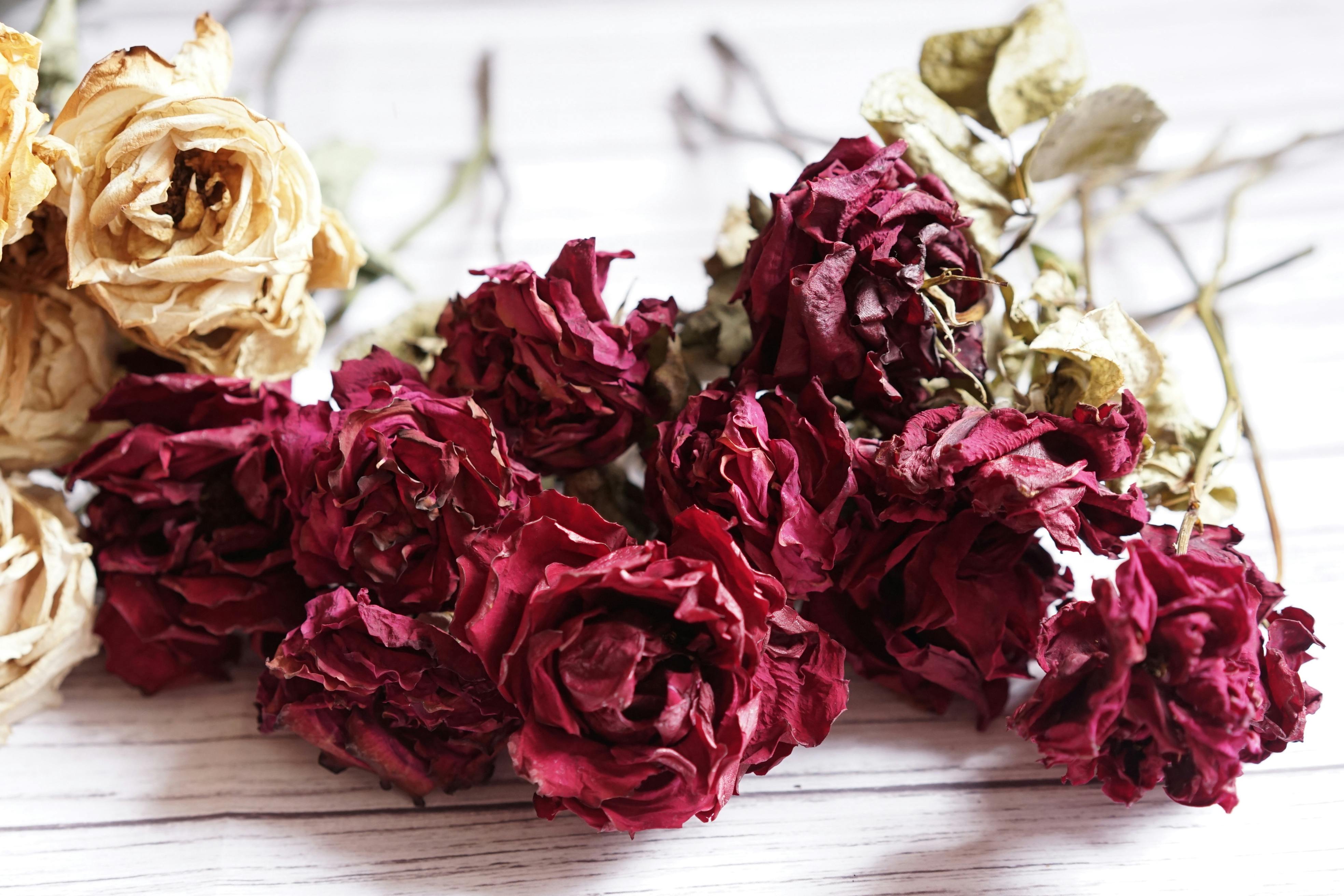 An Artistic Set-up Of A Halloween Decor With Leaves Flowers Skull