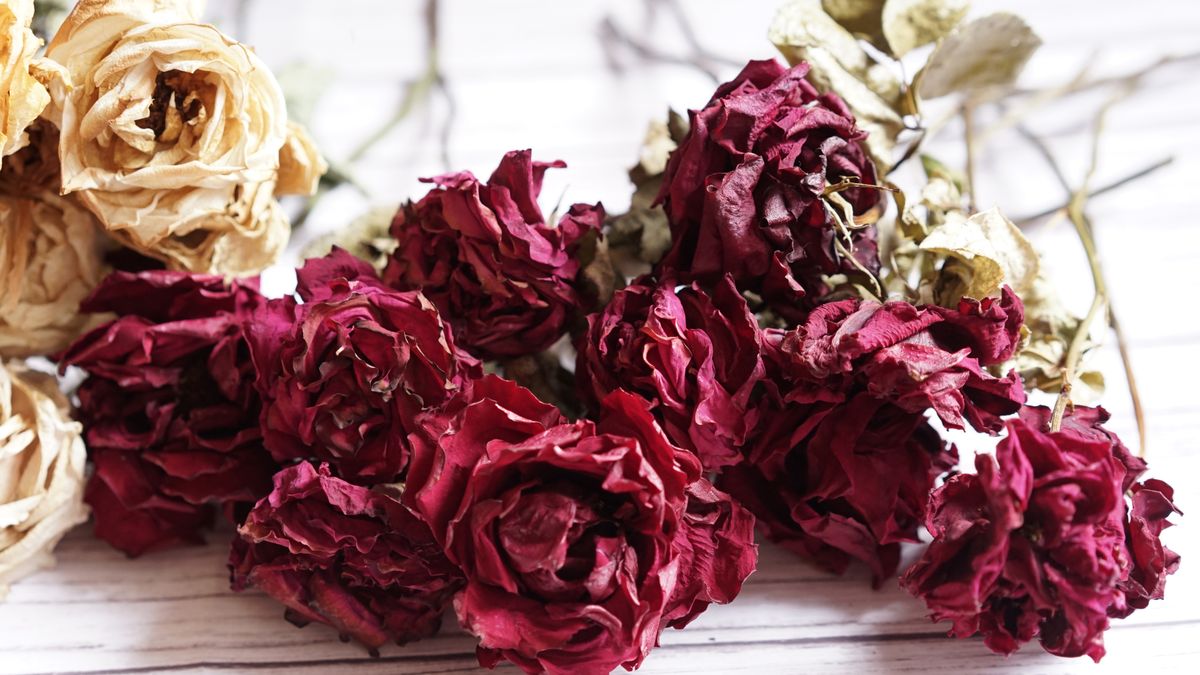 Photo: rie rosa / Pexels Dried red roses lying on a pale linen surface