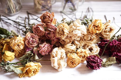 Free Bouquet of Yellow and Pink Roses Stock Photo