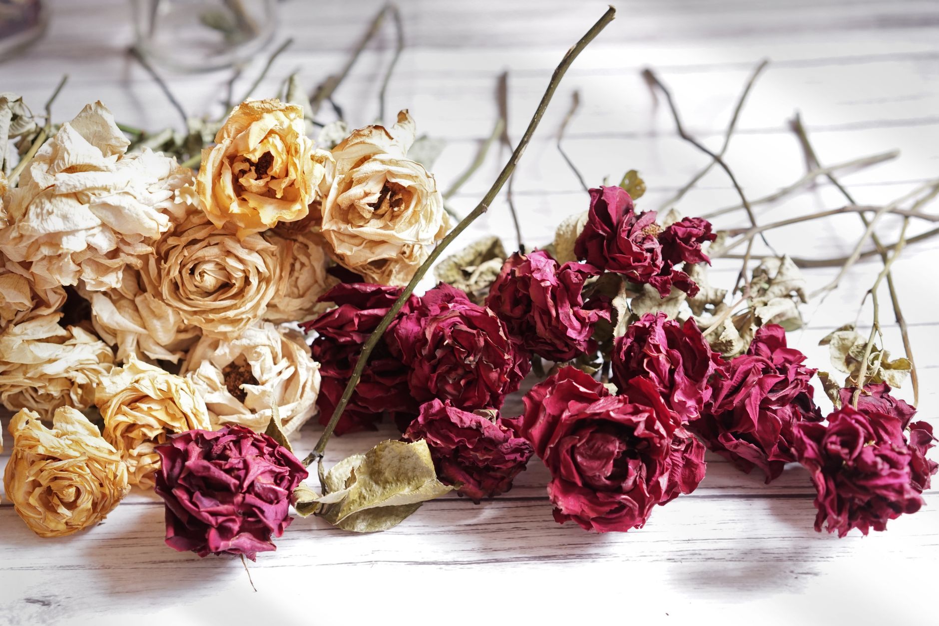 A captivating arrangement of red and yellow dried roses on a rustic wooden table, showcasing natural beauty.