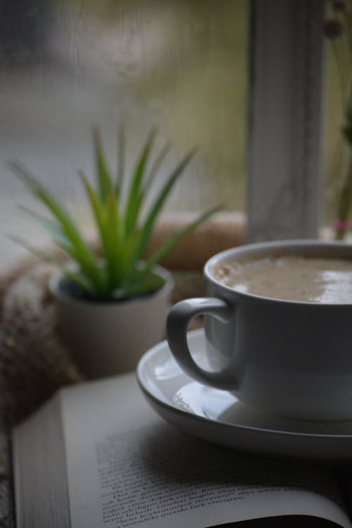 คลังภาพถ่ายฟรี ของ กาแฟ, เวลาดื่มกาแฟ