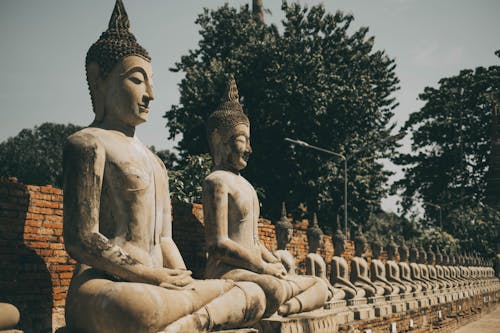 Foto d'estoc gratuïta de adoració, Buda, Budisme