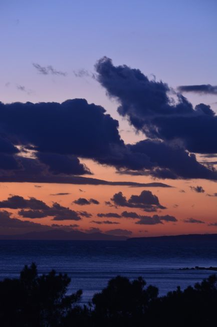 Silhouetted trees against a vibrant sunset with dramatic clouds over the sea.