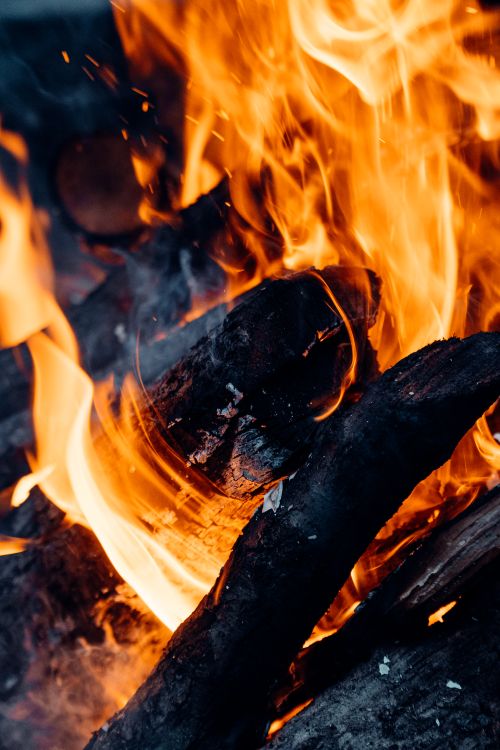 Close Up Shot of a Burning Wood · Free Stock Photo