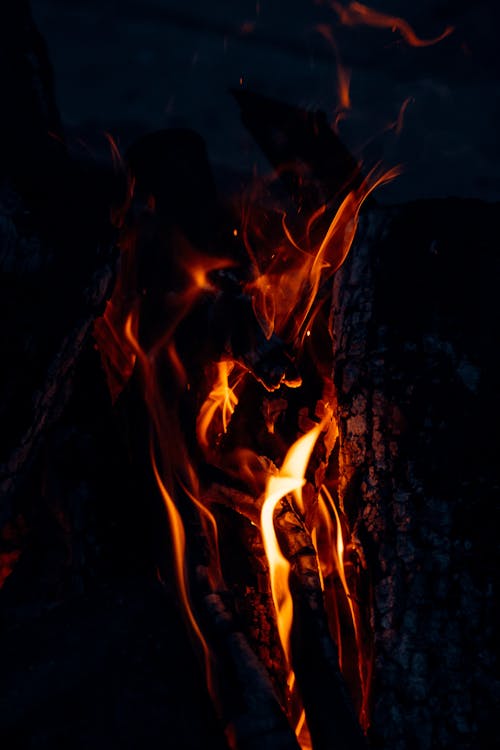 免费 升火的木柴, 垂直拍摄, 大火 的 免费素材图片 素材图片