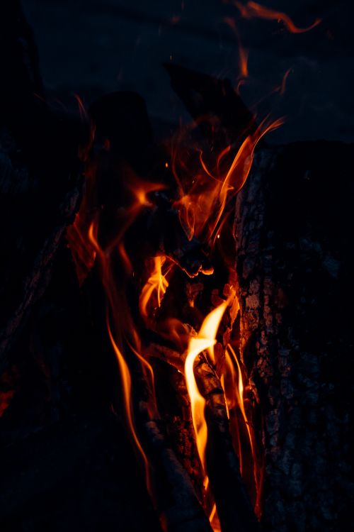 Free Close-up of burning firewood with vibrant flames against a dark background. Stock Photo