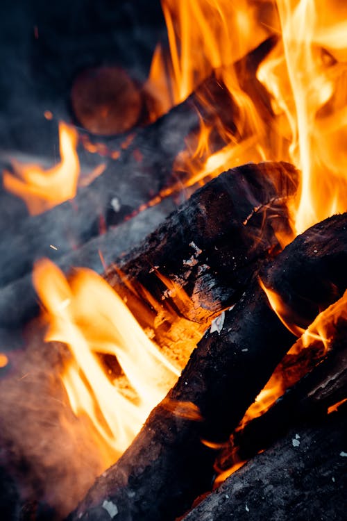 免费 升火的木柴, 垂直拍摄, 大火 的 免费素材图片 素材图片