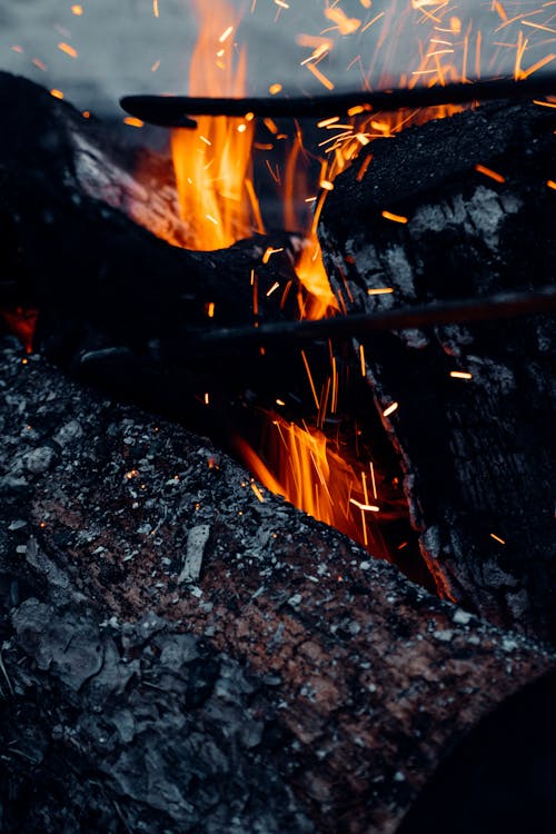 Fotobanka s bezplatnými fotkami na tému horenie, oheň, pálený