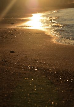 A tranquil beach at sunset, with golden sunlight reflecting on the sand and waves.