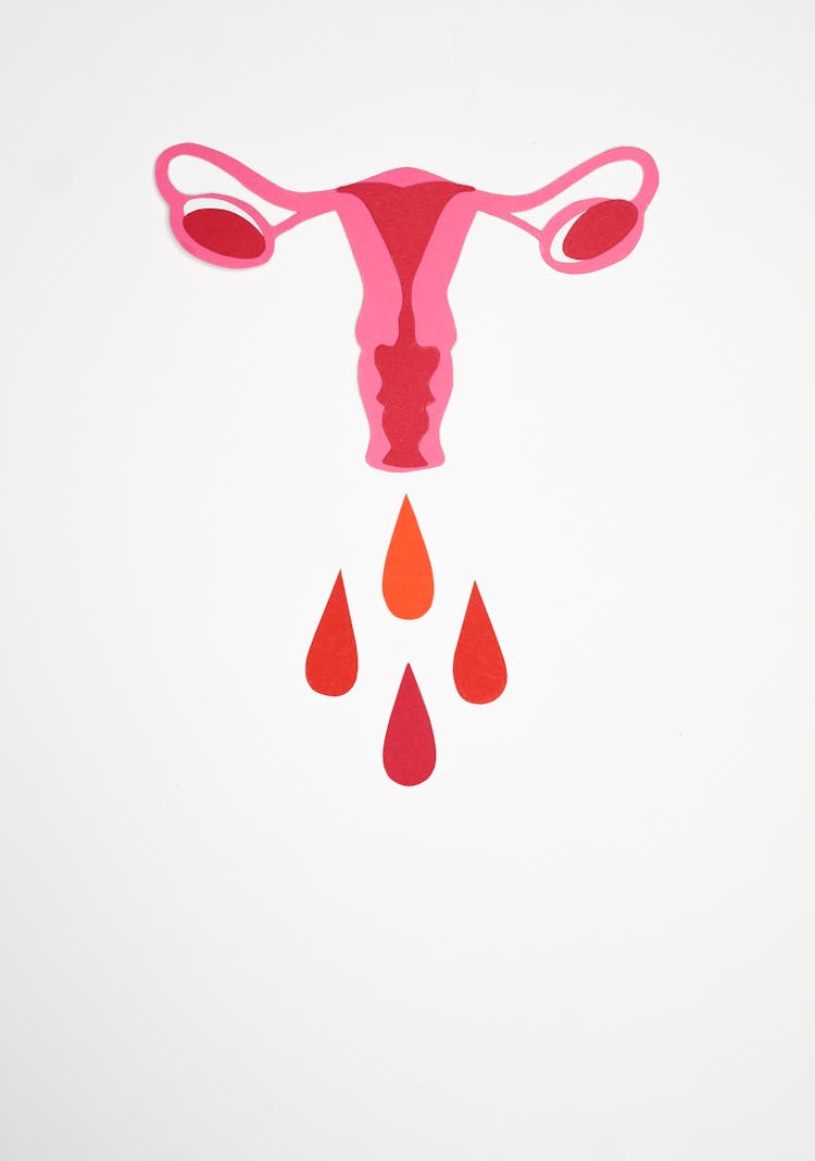 Illustration Of Menstruation