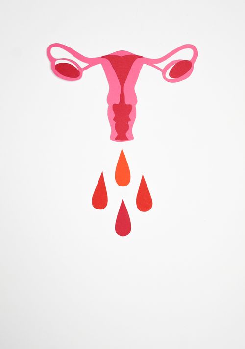Free A bold illustration of a uterus with symbolic blood drops on a white background. Stock Photo