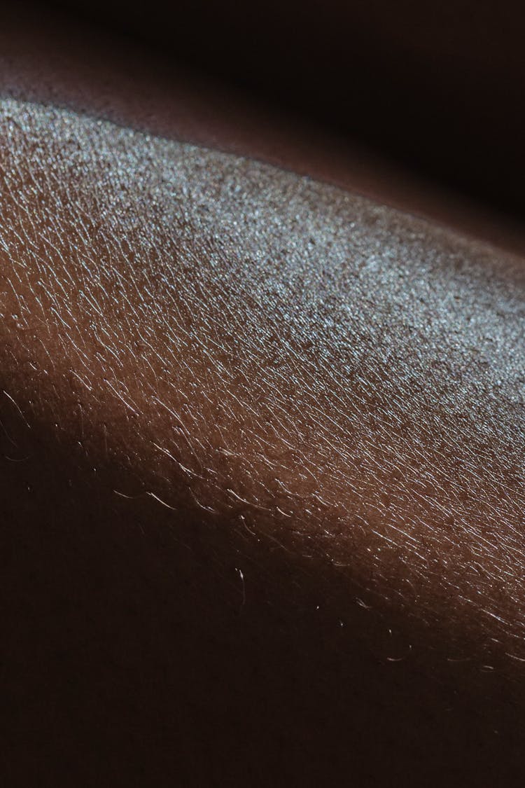 Macro Shot Photography Of A Hairy Skin