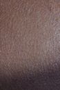 Close Up Photo of Brown Textile