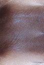 Close Up Photo of Brown Leather