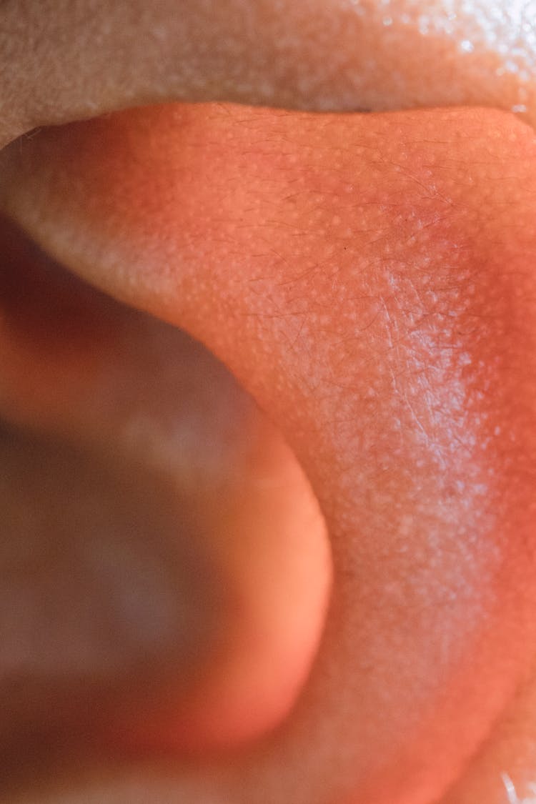 Part Of Ear Lobe