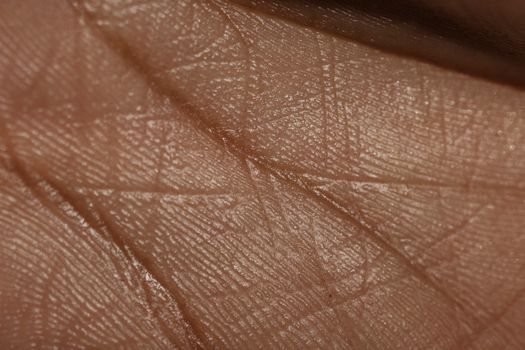 Detailed close-up of human skin texture revealing intricate patterns and lines.