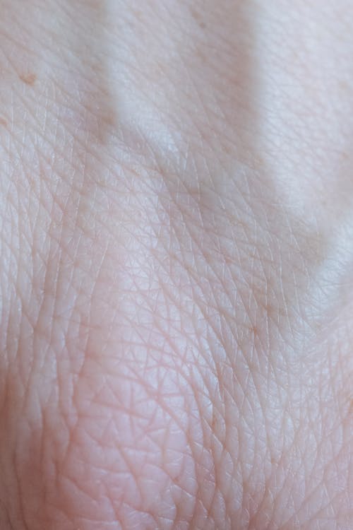 Extreme Close-up of Skin