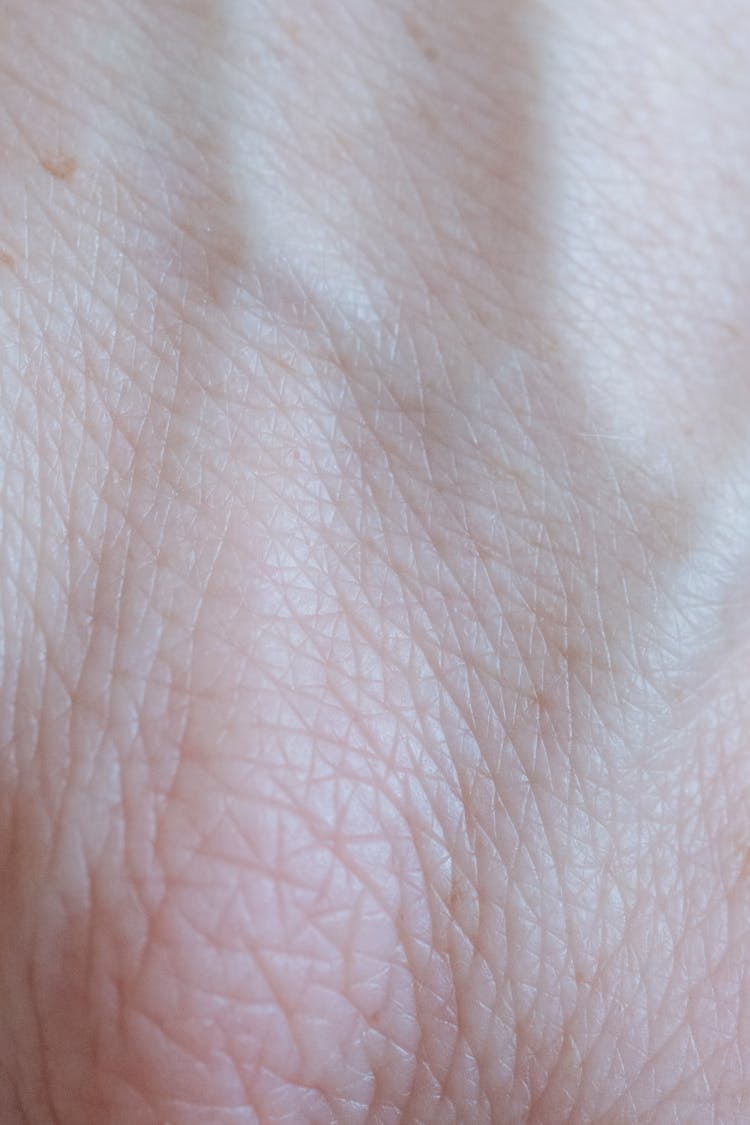 Extreme Close-up Of Skin