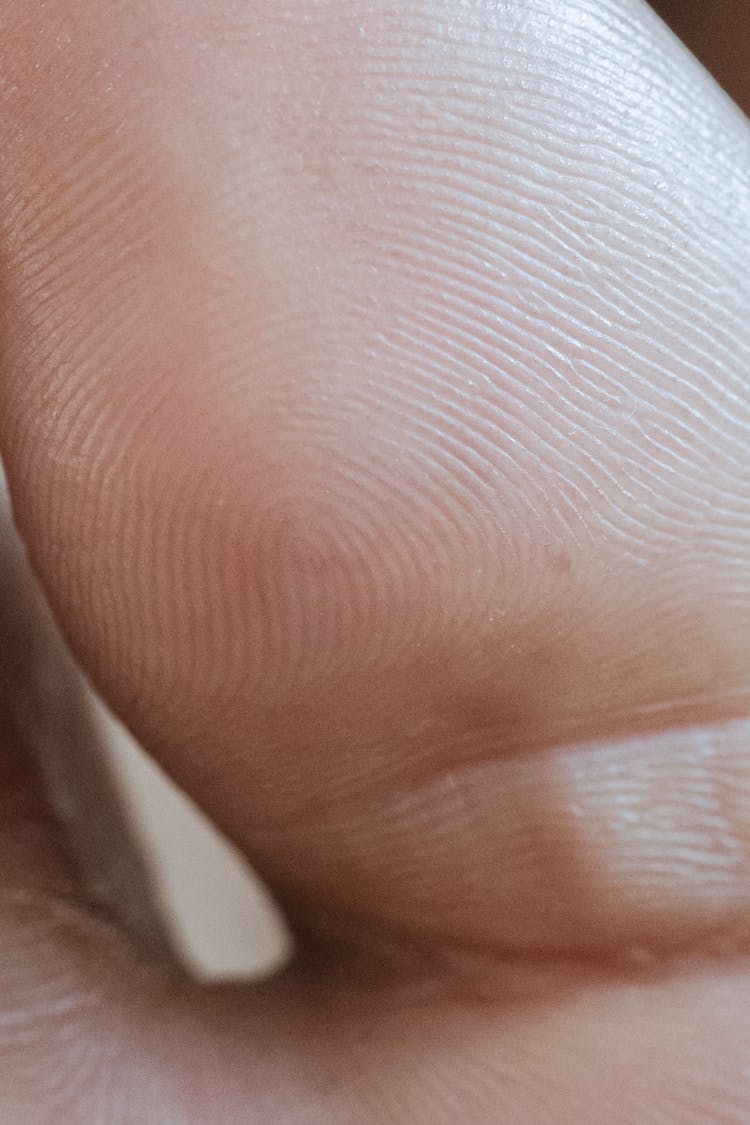 Close Up Of Toe Skin