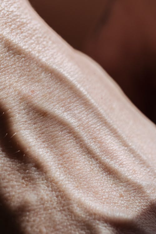 Free Extreme Close-up of a Hand Stock Photo