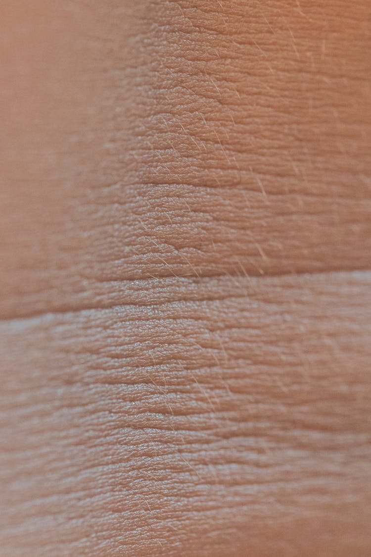 Skin Surface In Close Up