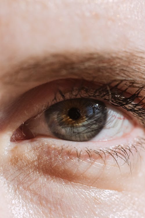 Free Human Eye in Close Up Photography Stock Photo