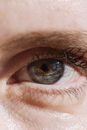 Human Eye in Close Up Photography
