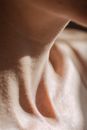 Person in White Crew Neck Shirt
