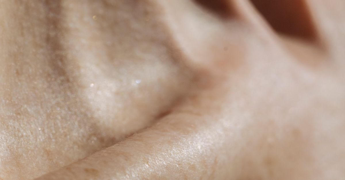 Skin Collorbones Prominent Collarbone of Woman · Free Stock Photo