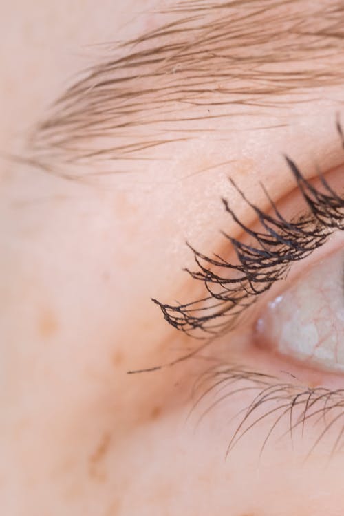 Close Up of Mascara on Eyelashes