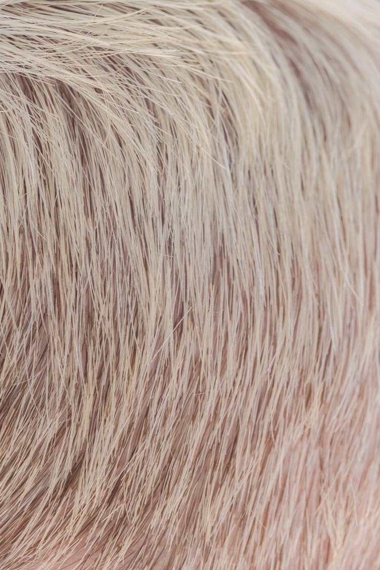 Dyed Short Hair In Close Up