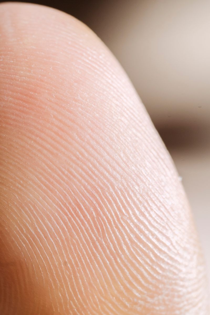 Macro close-up of a human fingerprint pattern