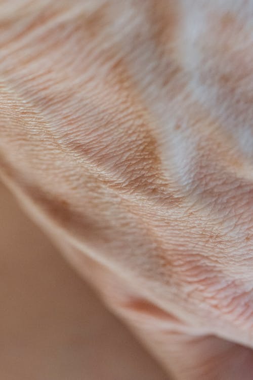 Free Closeup hand of crop anonymous person with veins and skin folds standing on beige background in room at home Stock Photo
