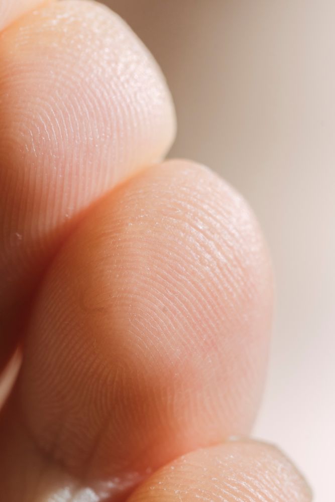 Finger Photos, Download The BEST Free Finger Stock Photos & HD Images