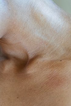 Closeup neck of crop anonymous nude person with veins and mole on collarbone standing in light studio near wall in studio