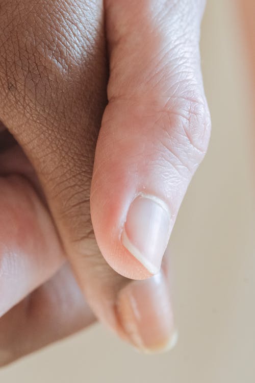 Crop anonymous diverse women holding hands tightly as symbol of unity and love