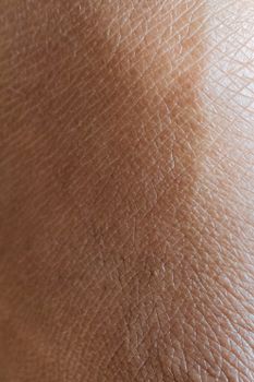 Texture of soft skin of person