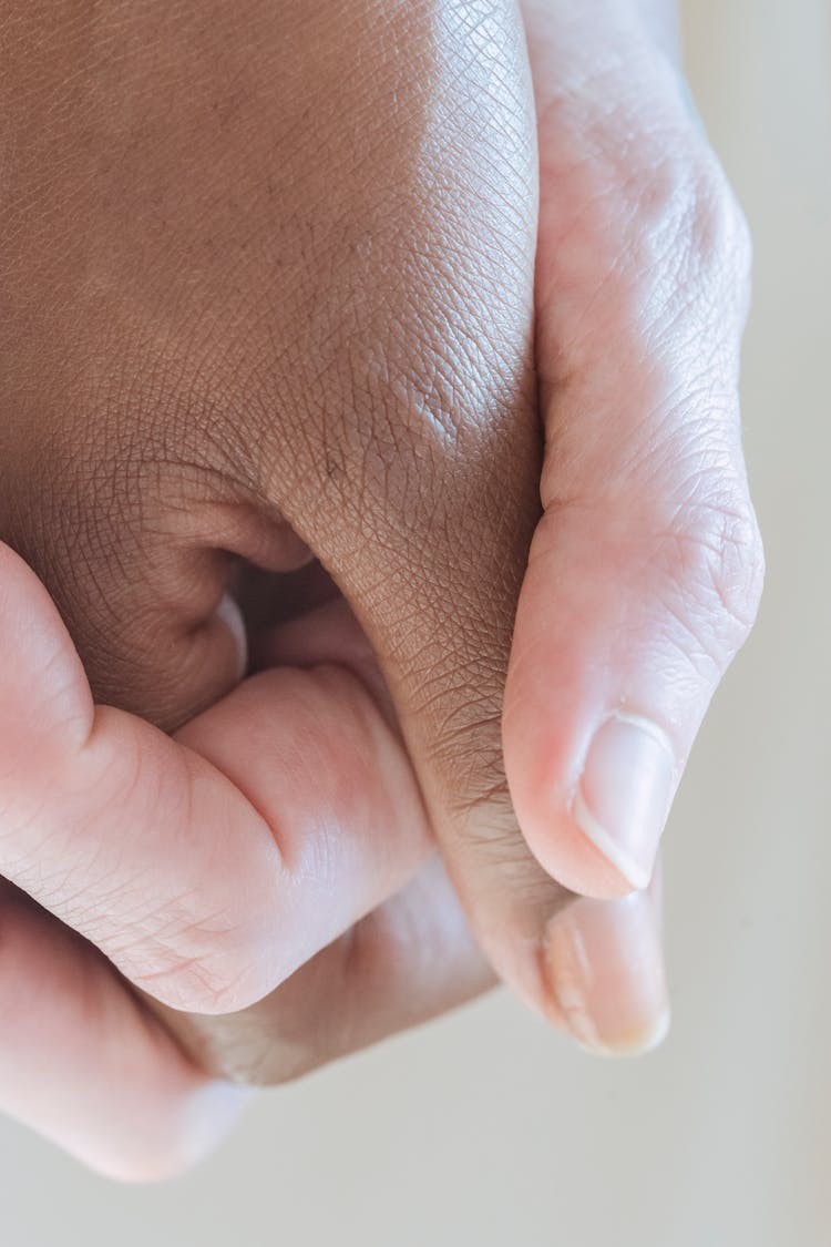 Diverse Females Holding Hands Gently For Unity