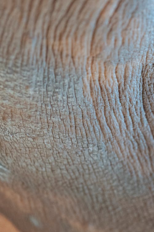 Person with dry clay mask on skin